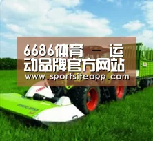 关于6686