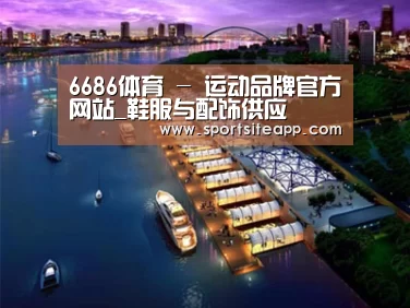 案例展示八