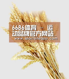 6686体育 - 运动品牌官方网站_鞋服与配饰供应