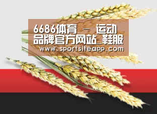 6686体育 - 运动品牌官方网站_鞋服与配饰供应