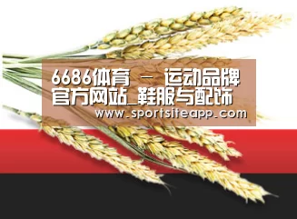 6686体育 - 运动品牌官方网站_鞋服与配饰供应