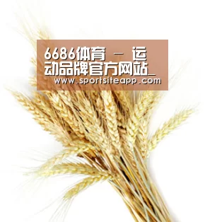 6686体育 - 运动品牌官方网站_鞋服与配饰供应