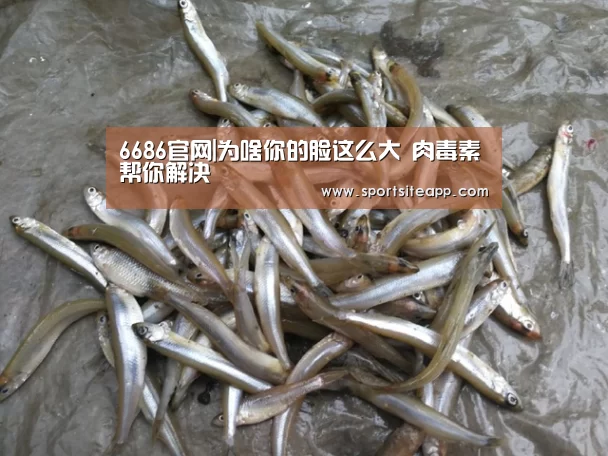 6686官网|为啥你的脸这么大 肉毒素帮你解决(图4) 6686直播