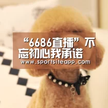 6686官网