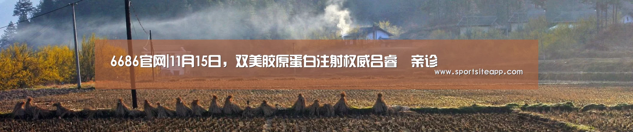6686官网|11月15日,双美胶原蛋白注射权威吕睿紘亲诊(图3) 6686体育