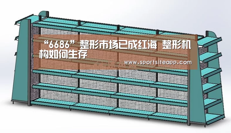 6686直播