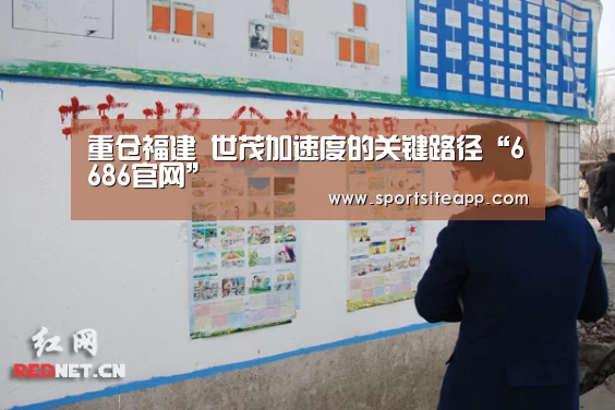 重仓福建 世茂加速度的关键路径“6686官网”(图2)