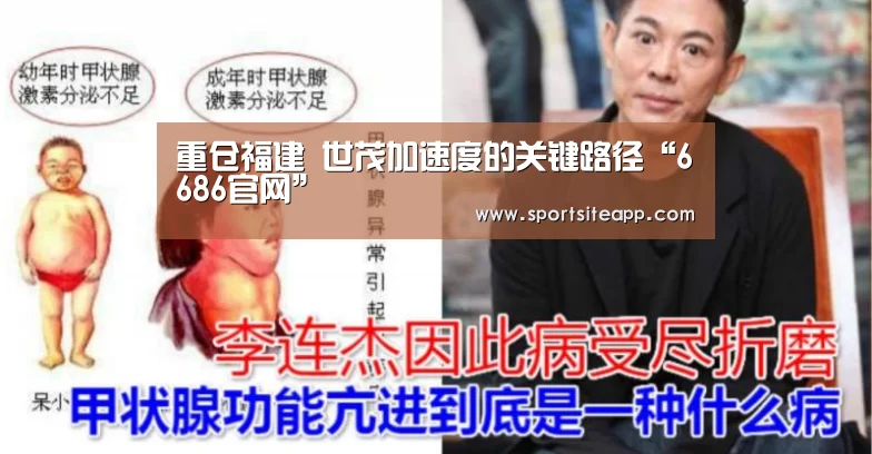 重仓福建 世茂加速度的关键路径“6686官网”(图3)
