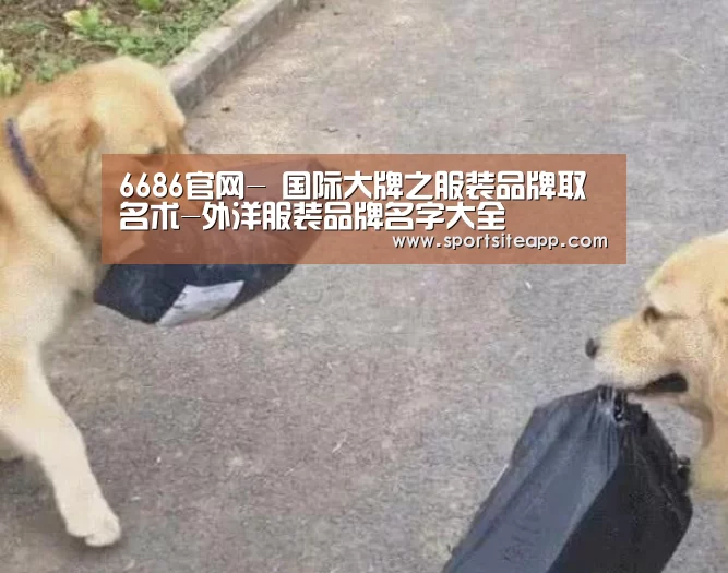 6686官网-
国际大牌之服装品牌取名术-外洋服装品牌名字大全(图2) 6686直播