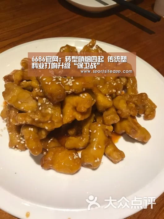 6686官网:转型硝烟四起 传统塑料业打响升级“保卫战”(图2) 6686体育